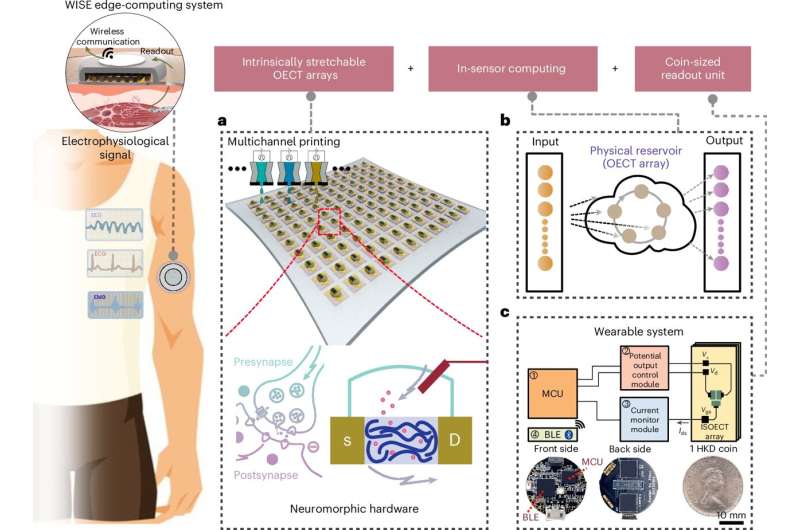 Stretchable transistors used in wearable devices enable in-sensor computing